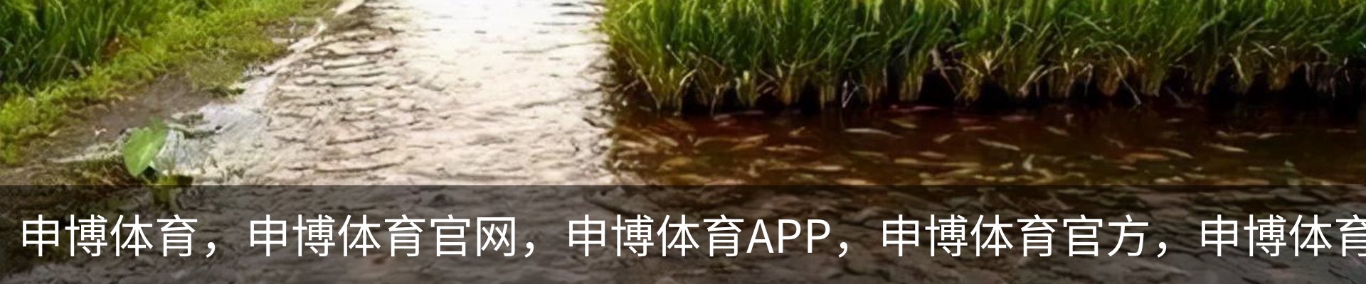 申博体育，申博体育官网，申博体育APP，申博体育官方，申博体育平台介绍